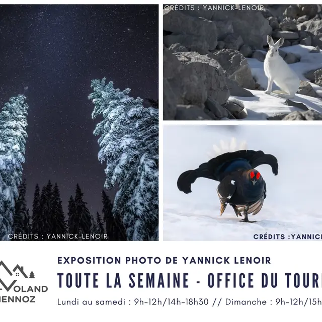 Conférence photo Au fil des saisons de Yannick Lenoir_Crest-Voland