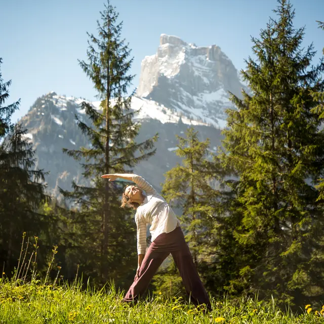 Hatha Yoga avec Orélia