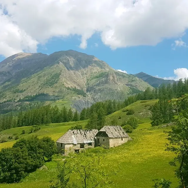 Trail : Le Brec - Vacheresse_Allos