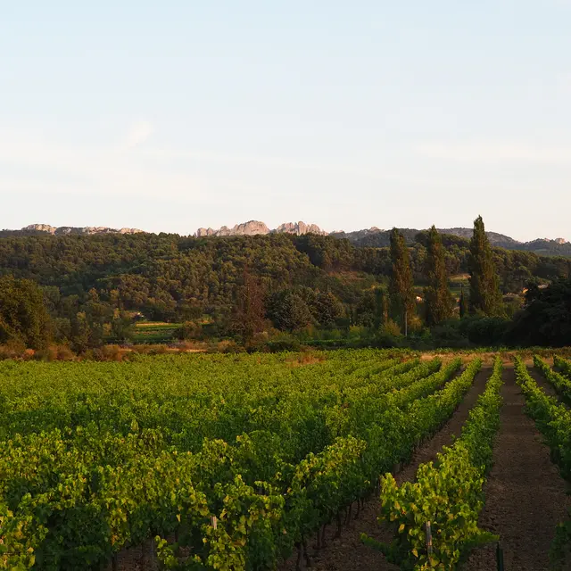 Domaine des Pasquiers