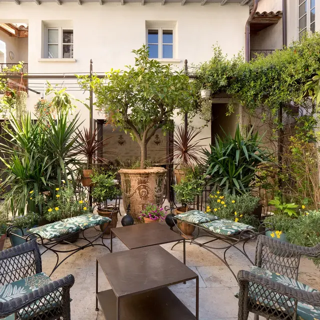 jardin