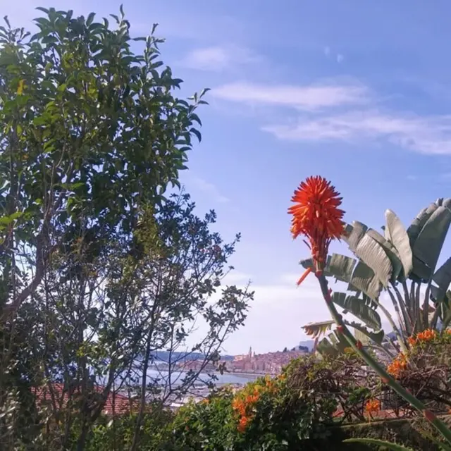Visite Guidée : Les Fantômes de Garavan_Menton