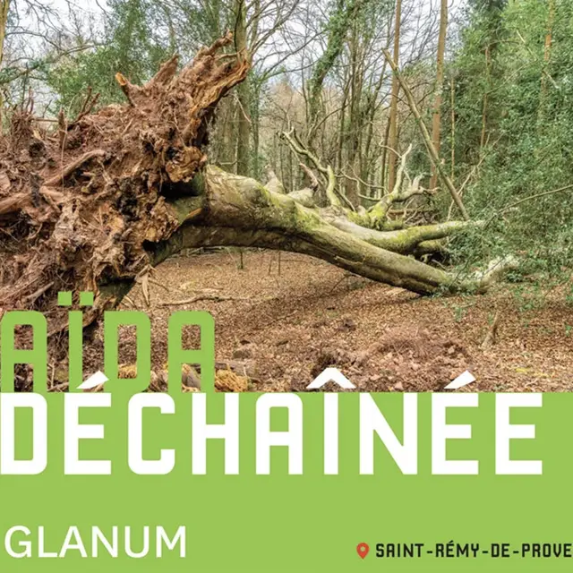 Opéra : Aïda déchainée à Glanum_Saint-Rémy-de-Provence