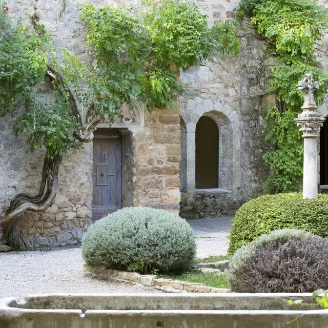 Chateau Sainte Roseline - Expérience Blanc_Les Arcs sur Argens