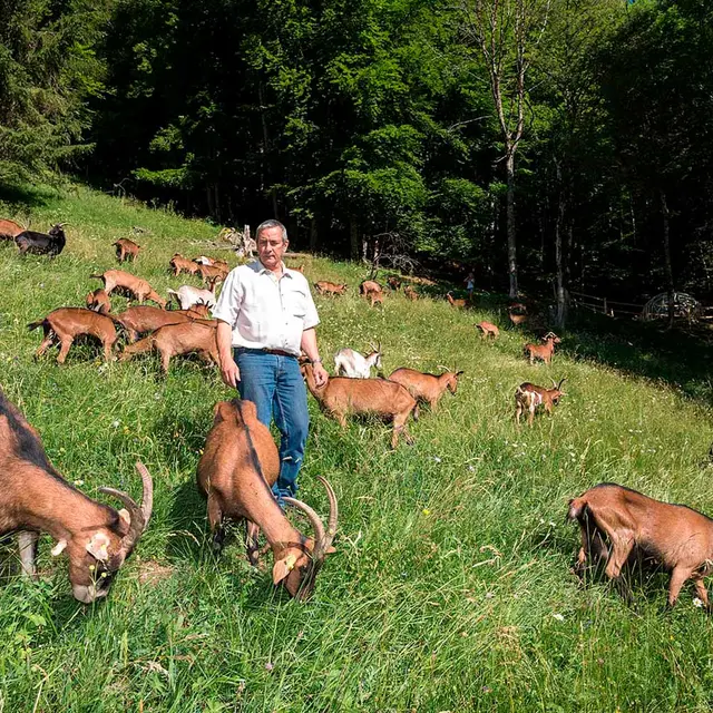La Ferme du Petit Mont