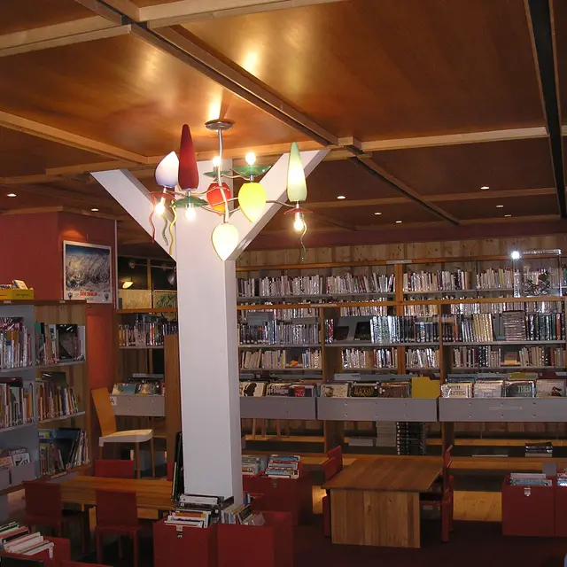 Bibliothèque Frison Roche