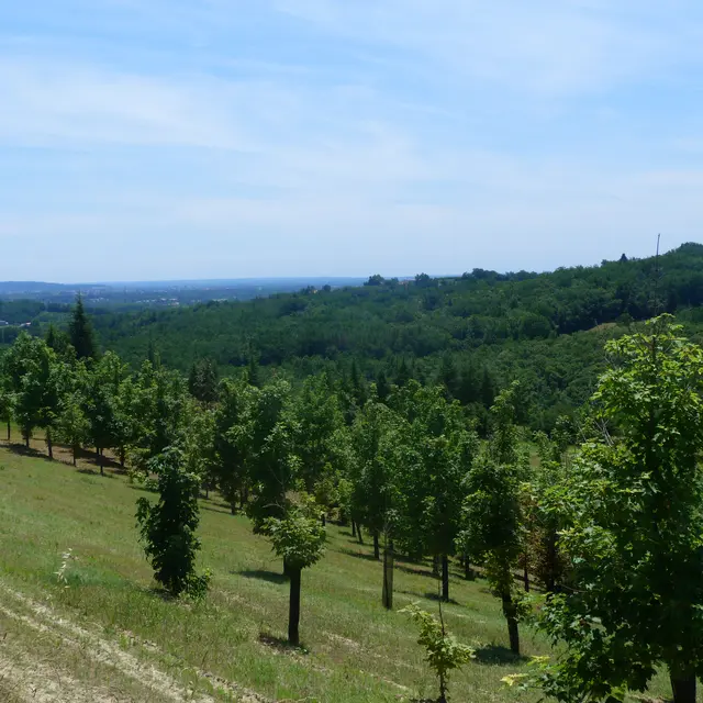 Circuit de Rossignol de l'Honor de Cos_L'Honor-de-Cos