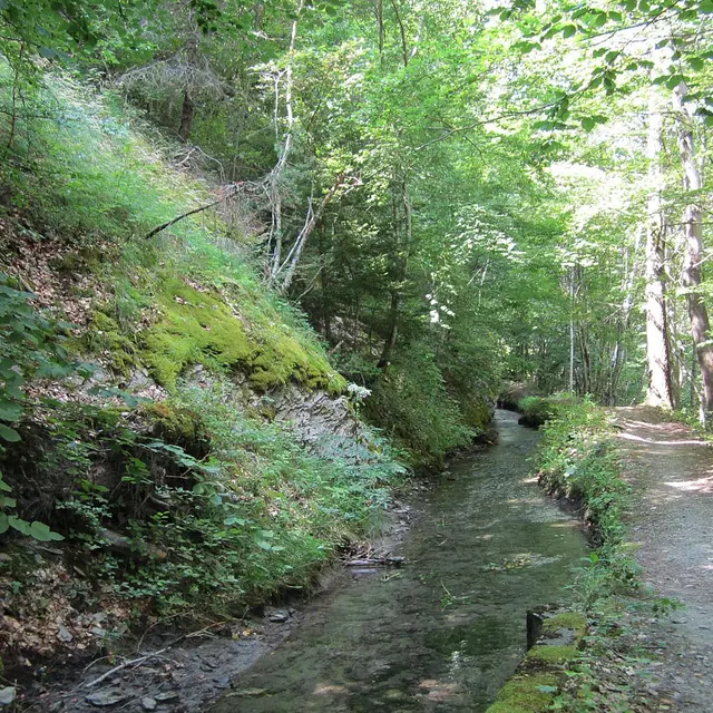 Balade le long du Canal des Herbeys
