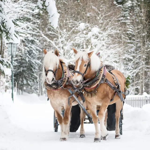 Le père Noël au Chamois_La Toussuire
