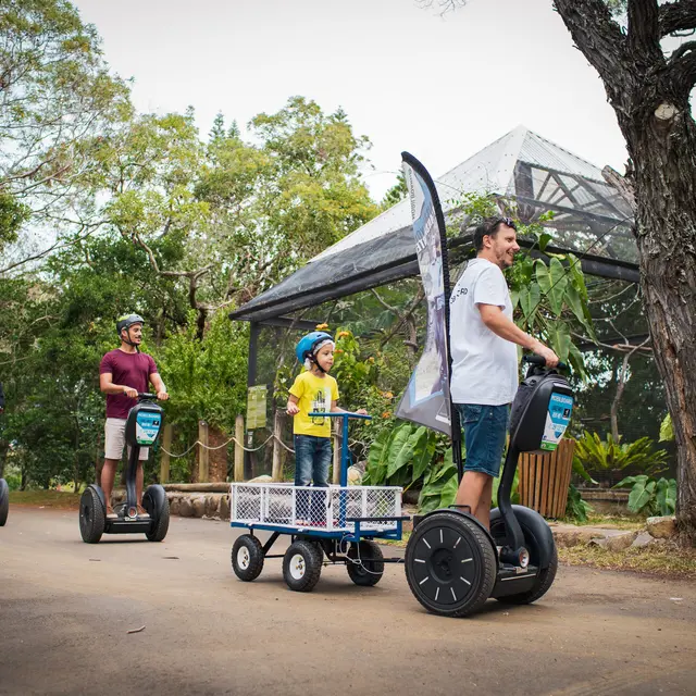 Tour en segway du Parc Provincial Zoologique et Forestier  - Mobilboard_Nouméa