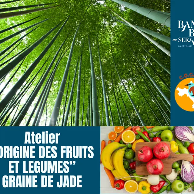 L’origine des fruits et légumes avec Graine de Jade_Générargues