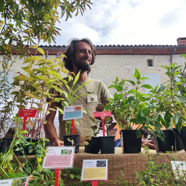 Des forêts à croquer plantes comestibles vente en ligne