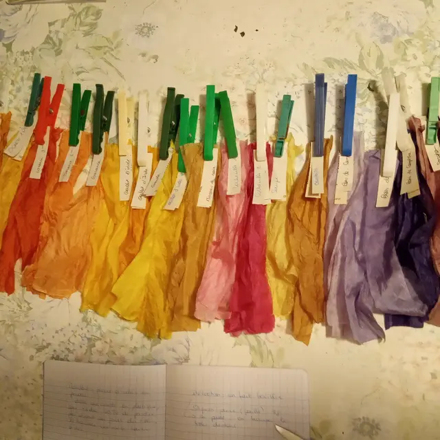 stage de teinture végétale