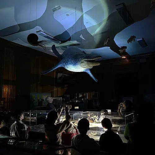 Visite du muséum à la lampe torche_Angers