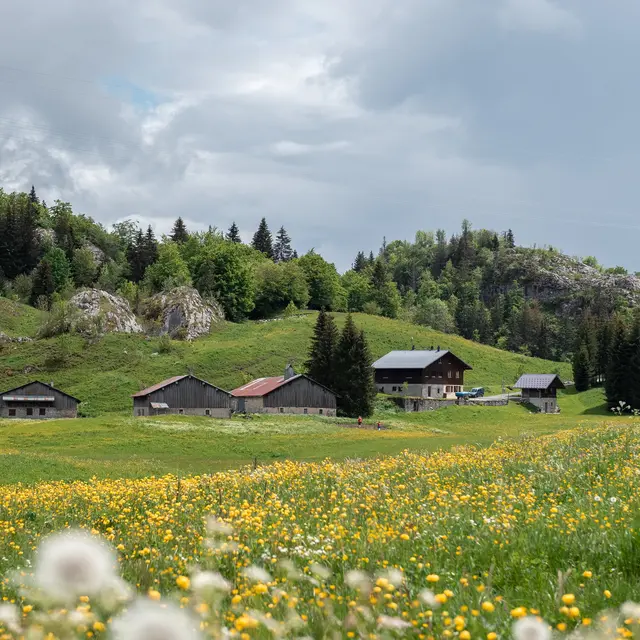 Sentier de randonnée - Le tour du plateau de Plaine Joux_Onnion