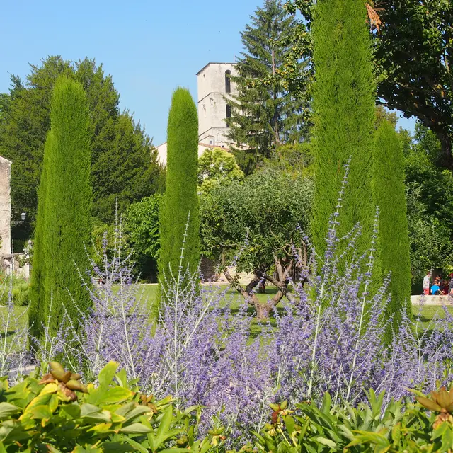 Jardin du couvent des Cordeliers_Forcalquier
