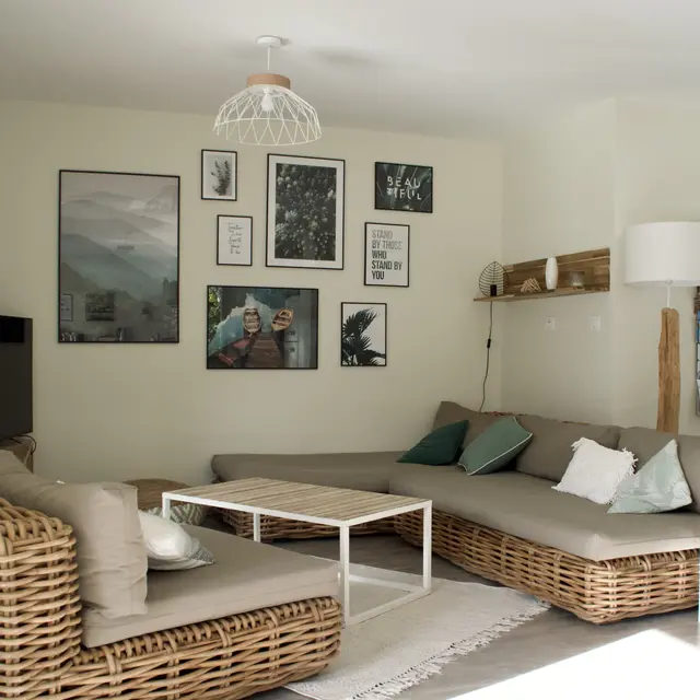 Salon _ photo principale