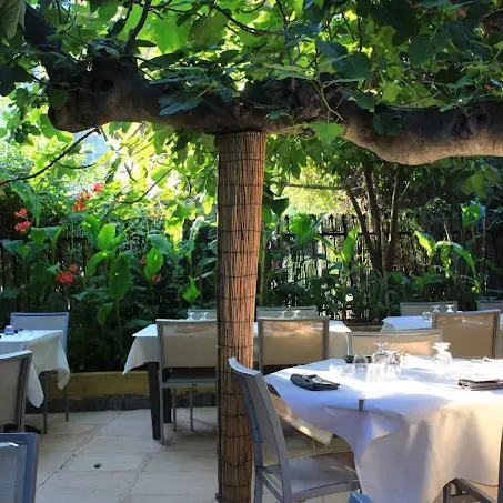 Chez Sylvia