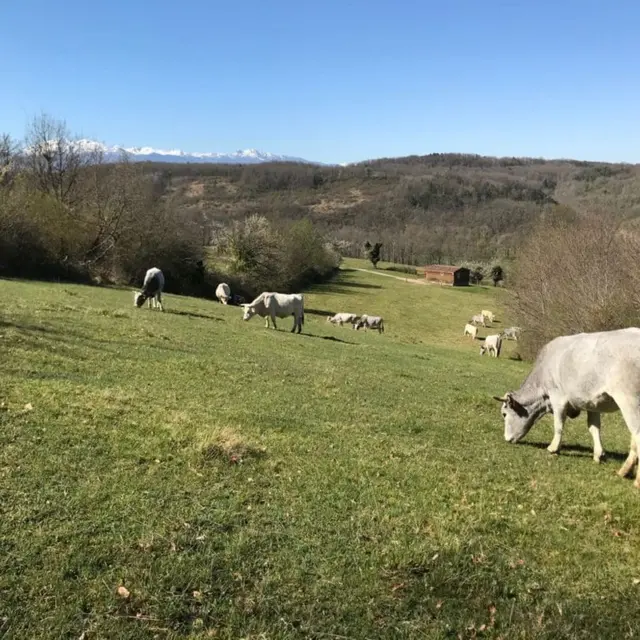 La ferme de la Besse