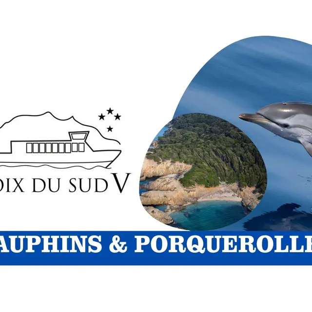 Dauphins et Porquerolles | Croix du Sud V_Sanary-sur-Mer