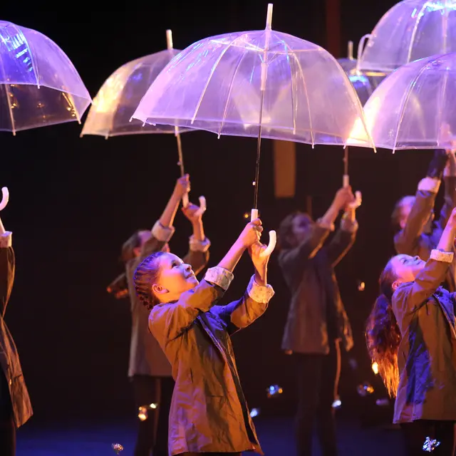 L'étrange usine à merveilles_Annecy