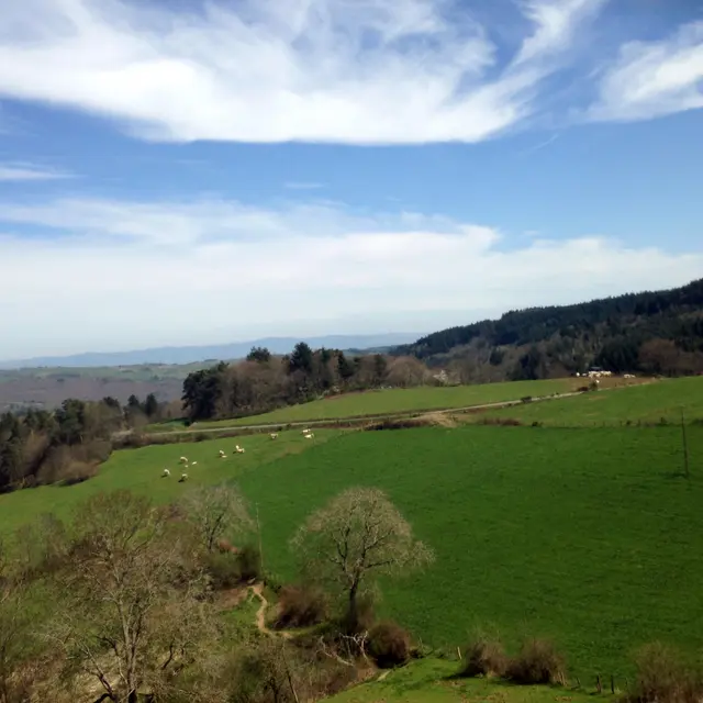 St Didier sur Rochefort