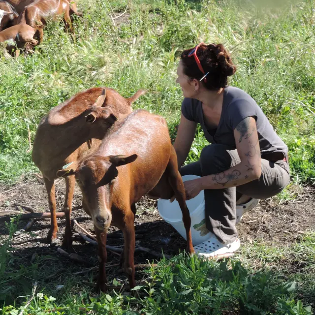 Ferme_des_Libellules