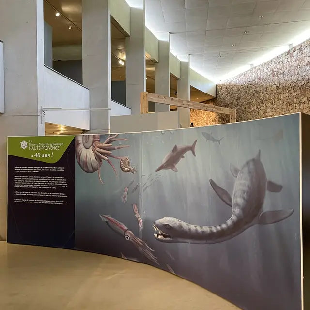 Exposition Temporaire 