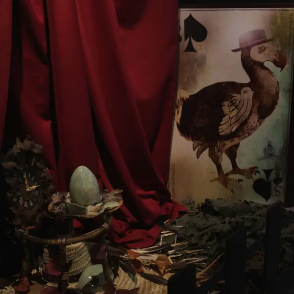 Visites flash animée Aliçe et les drôles d'oiseaux_Marseille