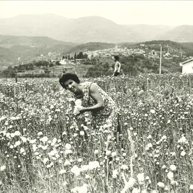 Gomot, 50 ans de regards à Saint-Paul de Vence
