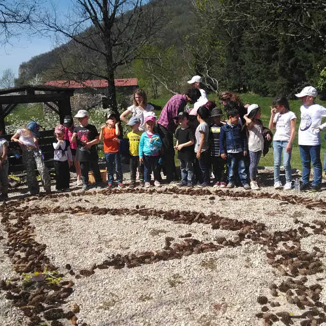 mandalas land art