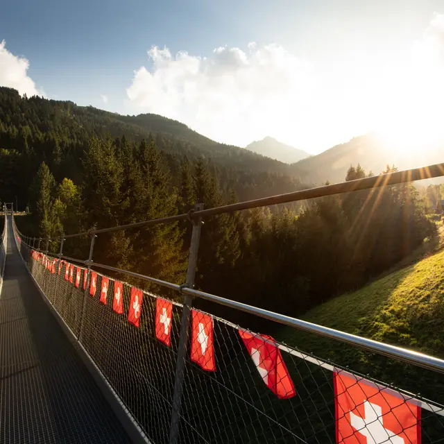 Le pont suspendu_Torgon