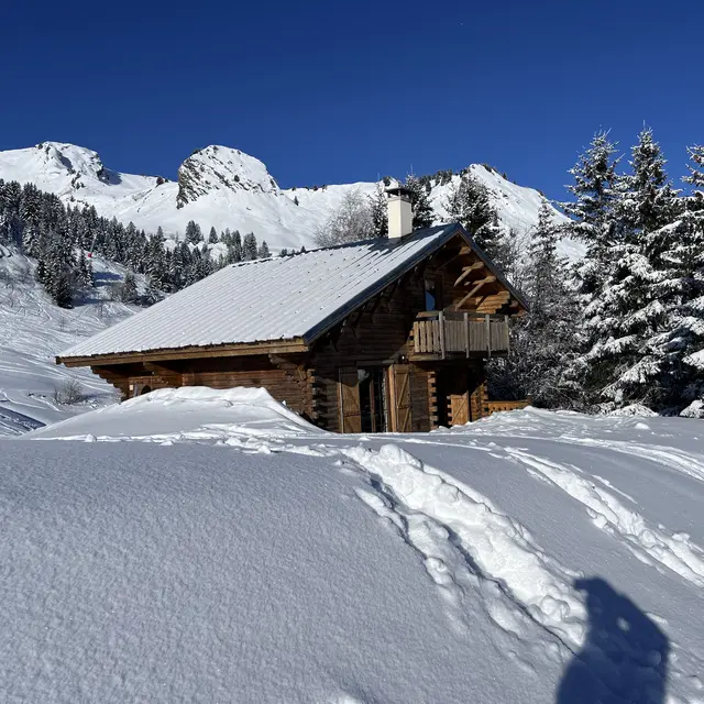 Chalet Le Bétex - 80 m² - n°822_Taninges