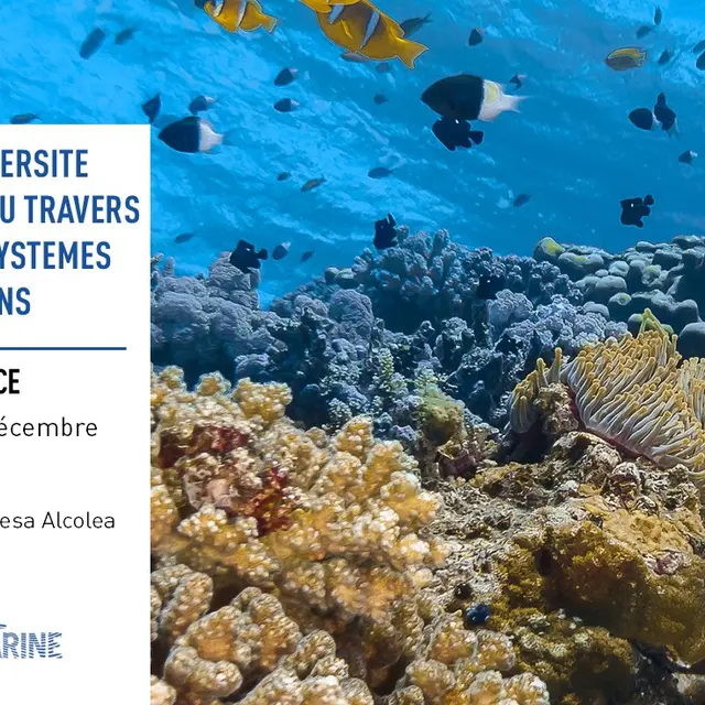 Conférence - La biodiversité marine au travers des écosystèmes coralliens_Toulon