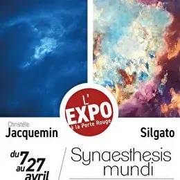 Christèle Jacquemin / Silgato – « Synaesthésis Mundi »_Avignon