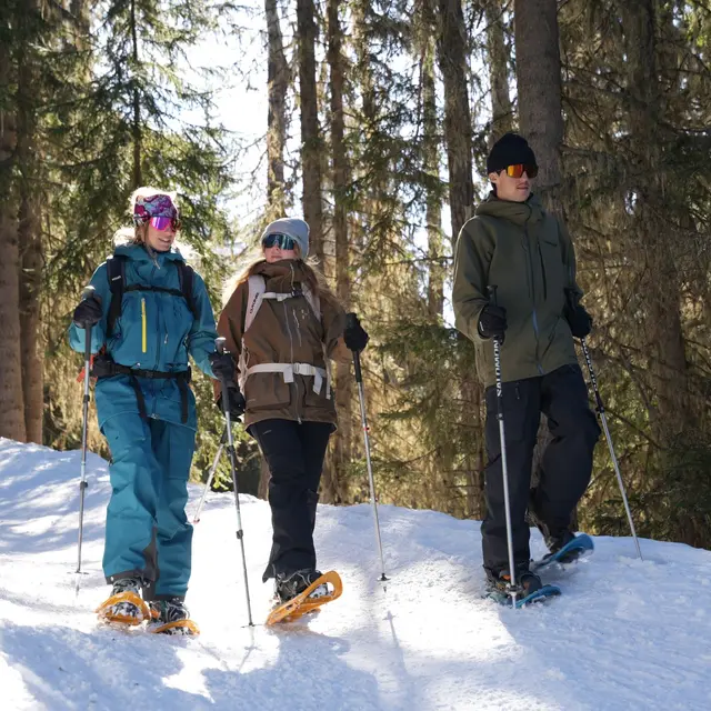 Itinéraire raquettes : Plan Bois_Sainte-Foy-Tarentaise