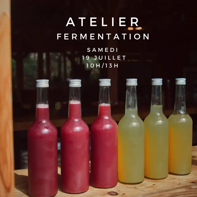 Atelier Fermentation - Saveurs & Santé_Saint-Jeannet