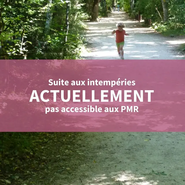 L'Allée Royale (labellisée Tourisme & Handicap)_Plan-d'Aups-Sainte-Baume