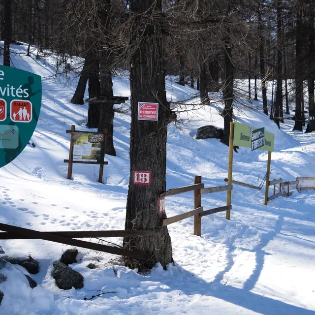 zone multi-activité Bois Sestrières