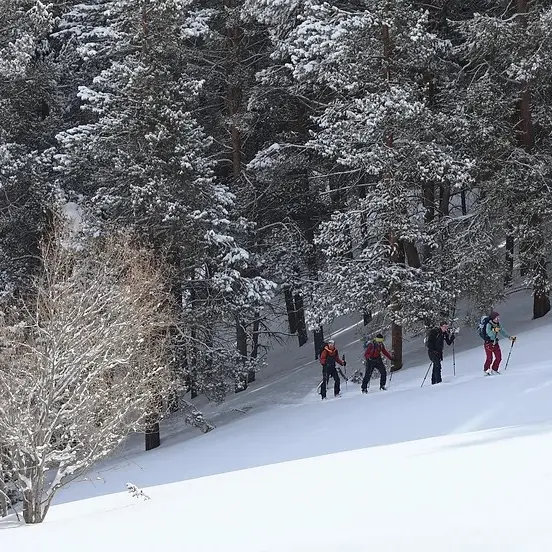 Découverte du ski de randonnée 