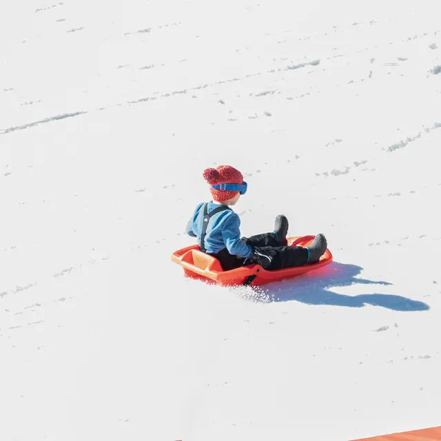 Piste de luge