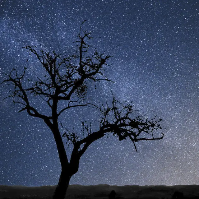 Tant qu'il y aura des étoiles_Tende