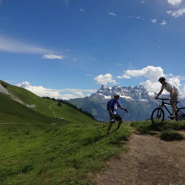 Ecole VTT MCF