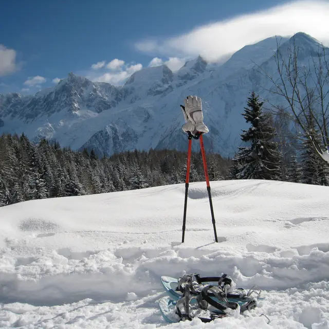 Sortie raquettes La Flatière, face au Mont-Blanc - Facile_Combloux