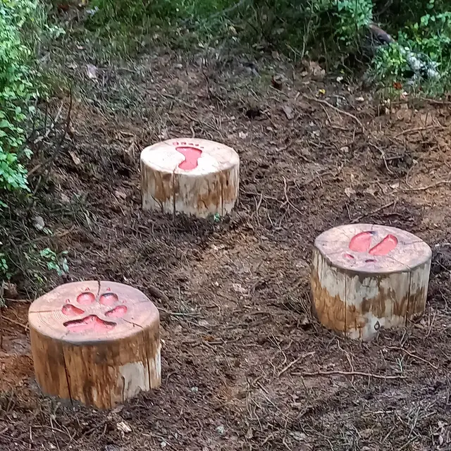 Les Croes en foret