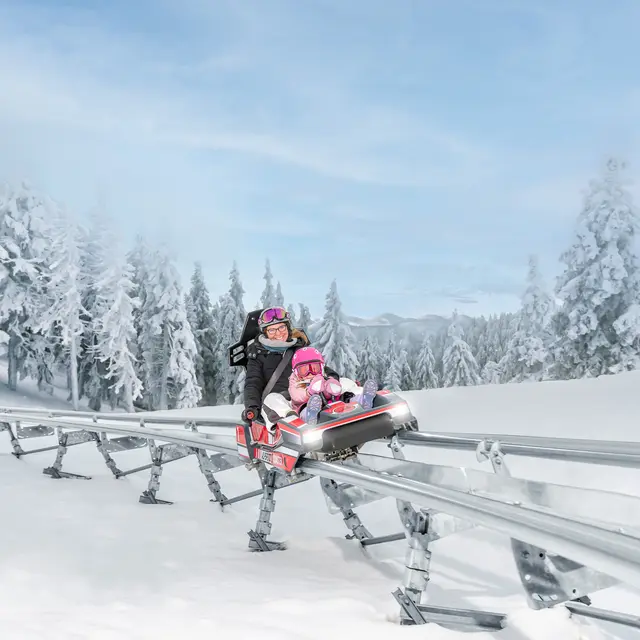 Projet : luge 4 saisons_Superdévoluy
