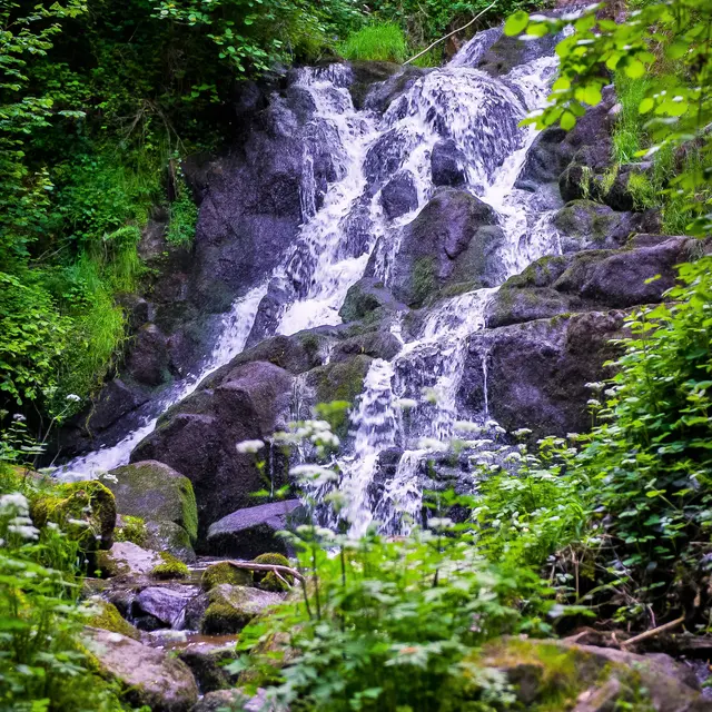 Cascade de l'Ecureuil