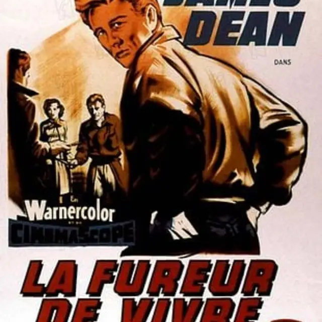 Affiche de La Fureur de vivre