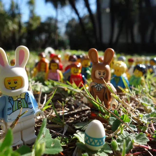 Chasse aux oeufs Olbius Riquier Hyères