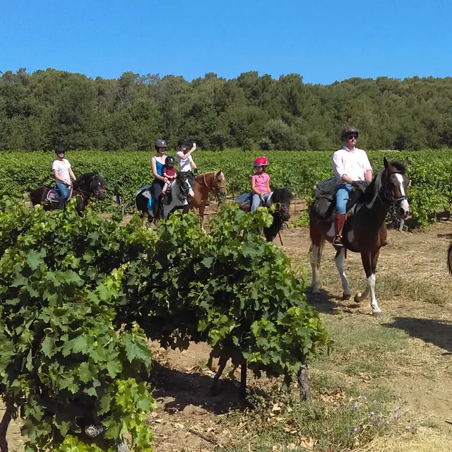 Le Poney Rouge